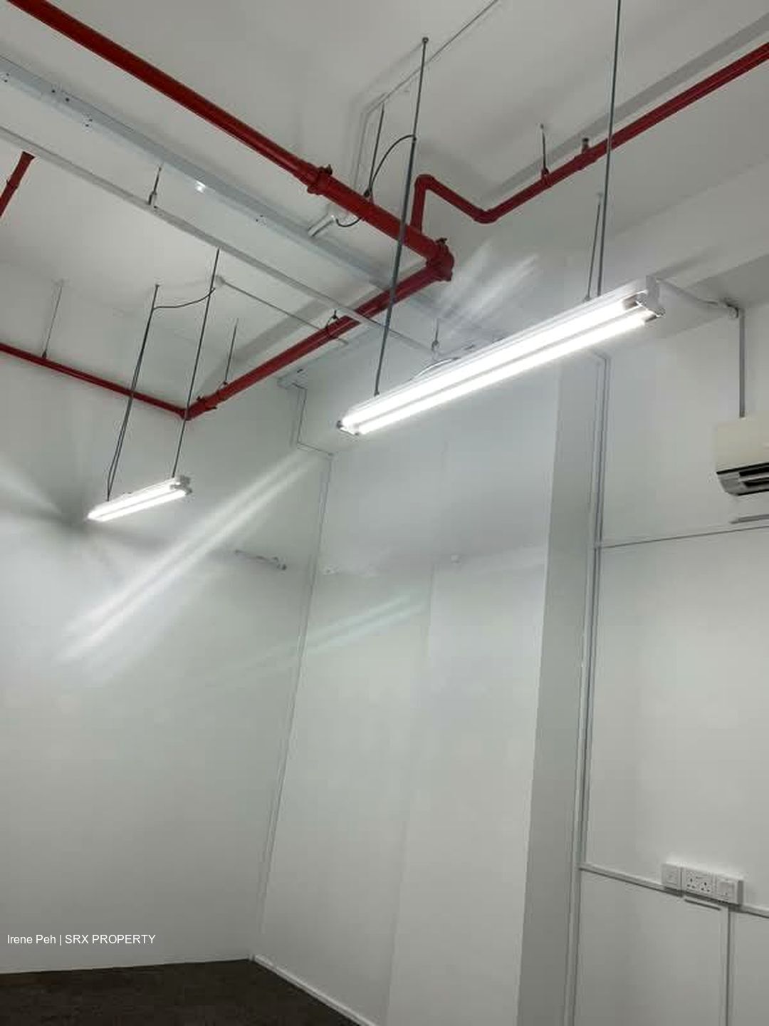 Primz Bizhub (D25), Factory #575692551